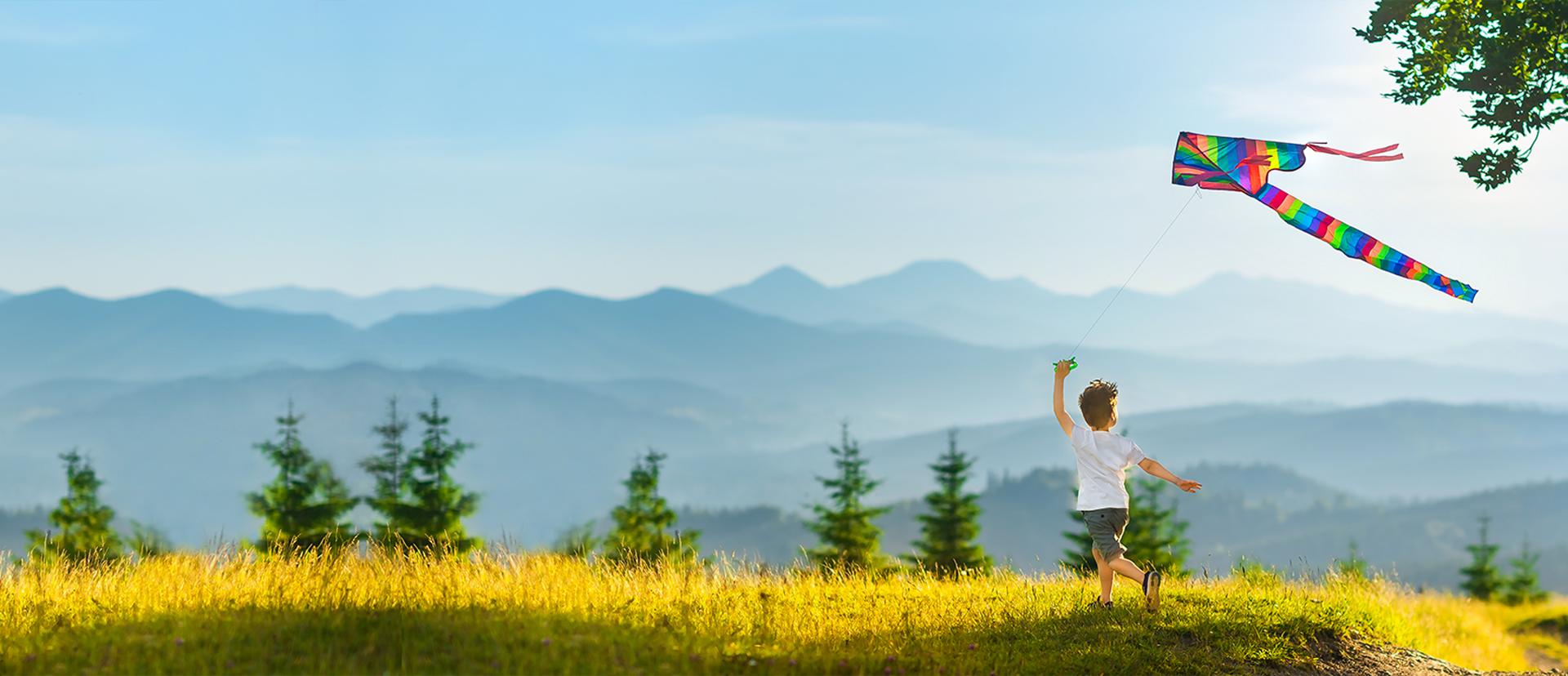 永攀高峰（fēng） 引領未來